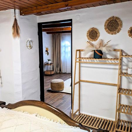 Tokaj Zlata Putna - Restaurant & Pension Vinicky エクステリア 写真