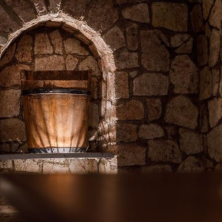 Tokaj Zlata Putna - Restaurant & Pension Vinicky エクステリア 写真
