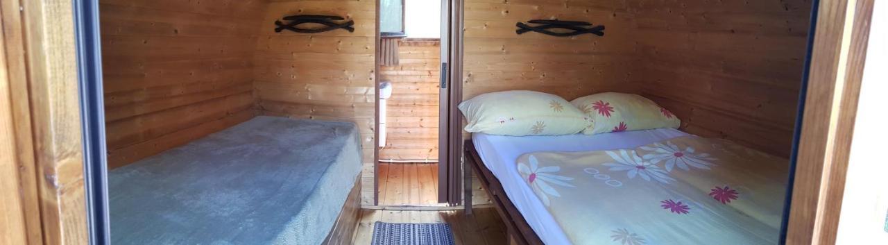 Tokaj Zlata Putna - Restaurant & Pension Vinicky エクステリア 写真