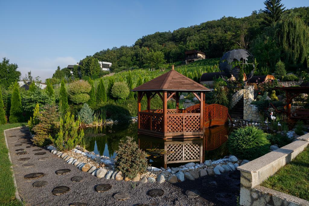 Tokaj Zlata Putna - Restaurant & Pension Vinicky エクステリア 写真