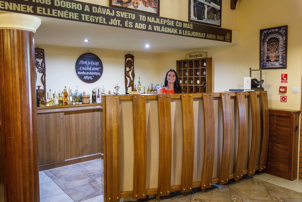 Tokaj Zlata Putna - Restaurant & Pension Vinicky エクステリア 写真