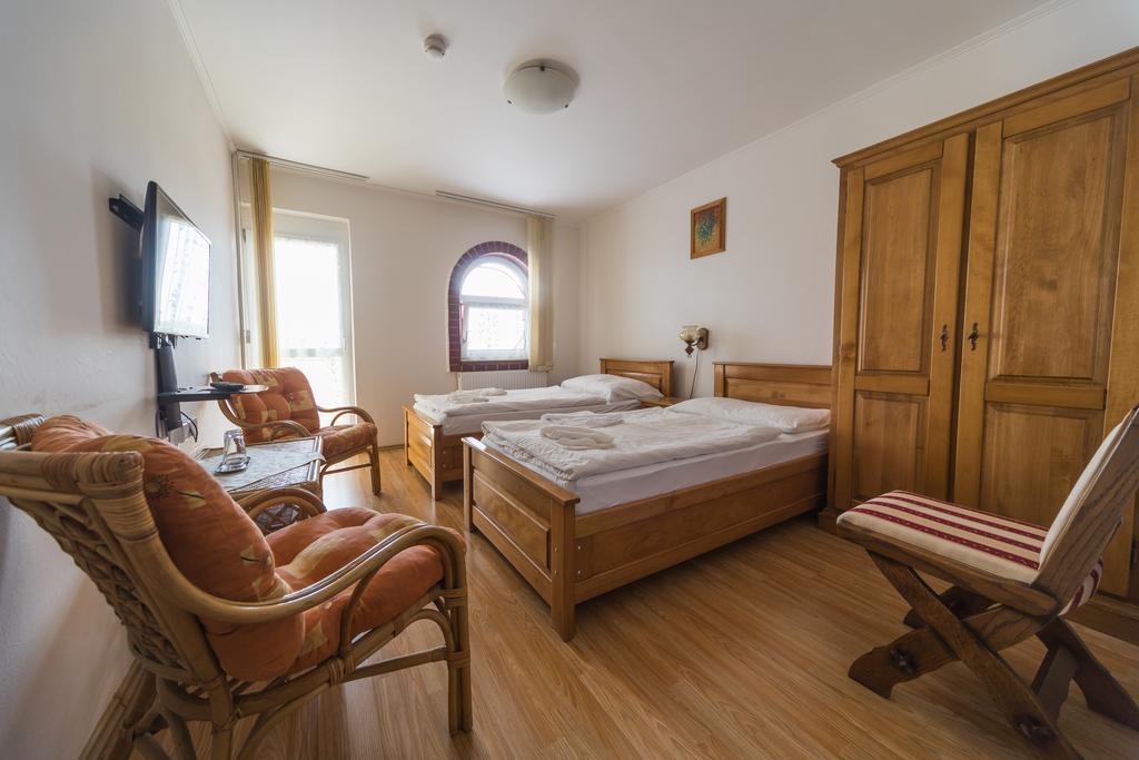 Tokaj Zlata Putna - Restaurant & Pension Vinicky エクステリア 写真